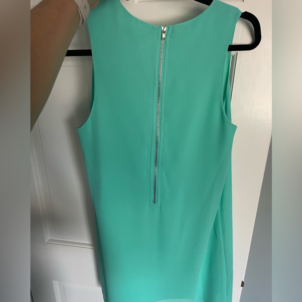 Naked Zebra dress size M